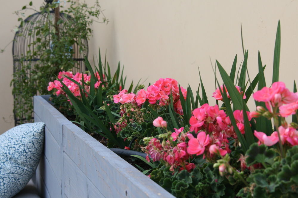 Bespoke Inn Scottsdale Exterior foto